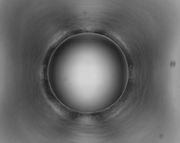 X0000094430738200711081225
