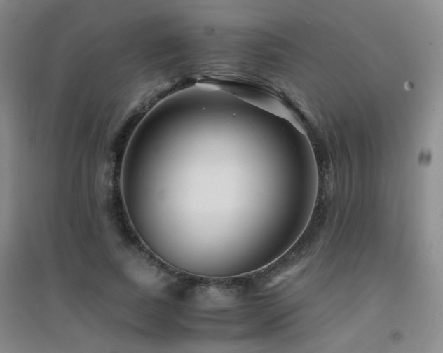 X0000094430739200711081225