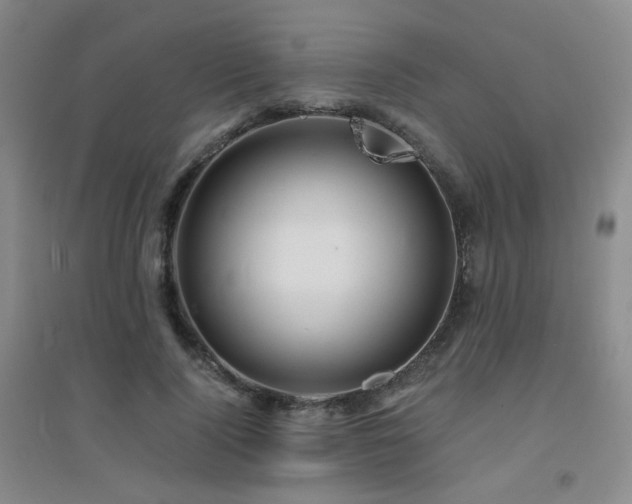 X0000094430740200711081225