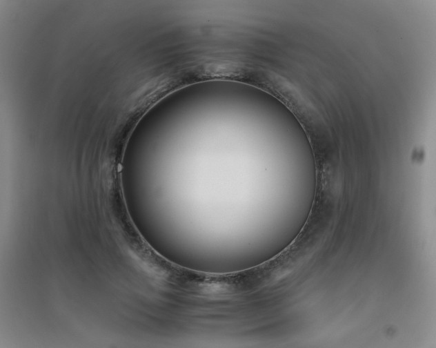 X0000094430741200711081225