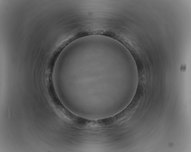 X0000094430742200711081225