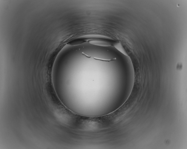 X0000094430743200711081225