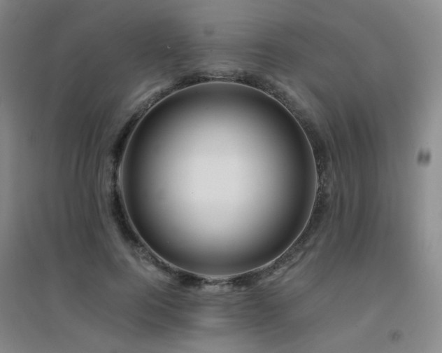 X0000094430744200711081225