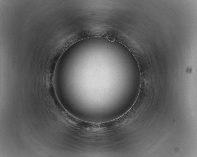 X0000094430745200711081225