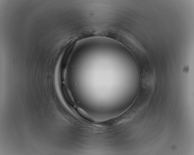 X0000094430748200711081225