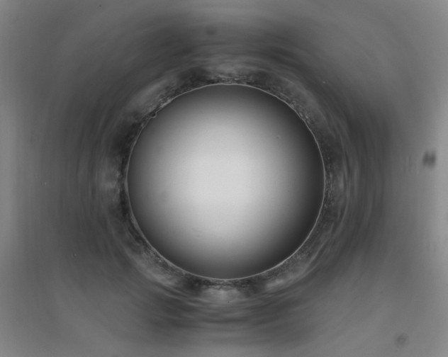 X0000094430749200711081225