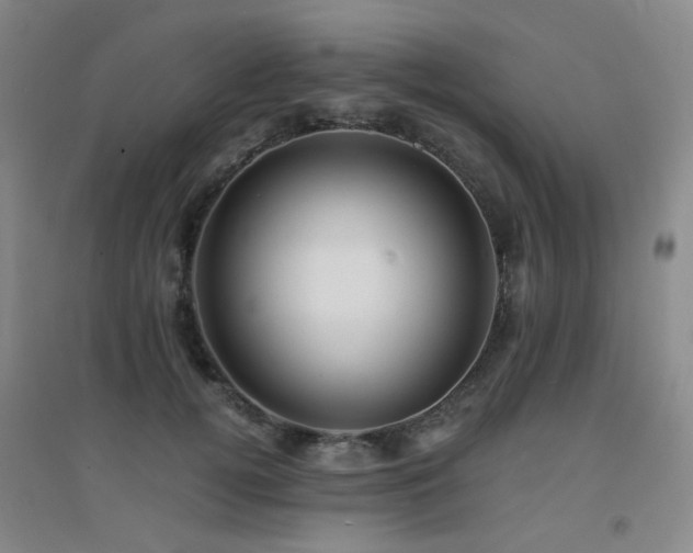X0000094430752200711081225