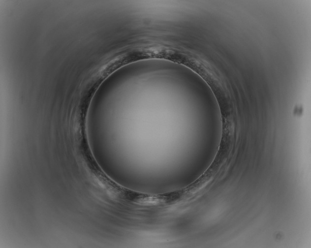 X0000094430754200711081226