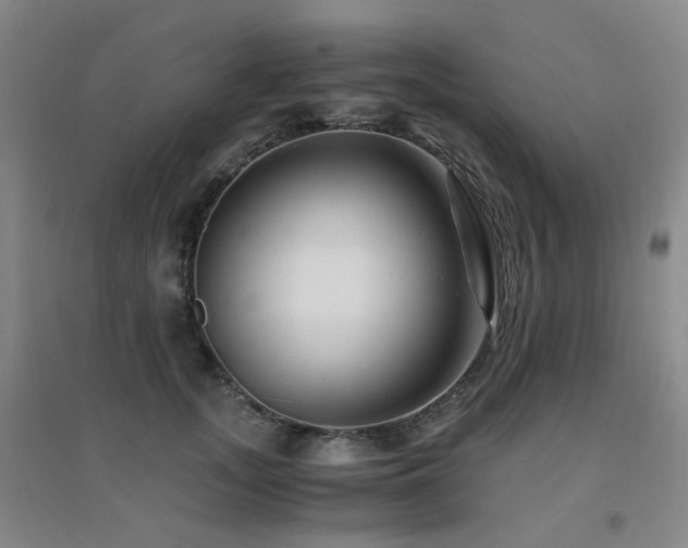 X0000094430755200711081226