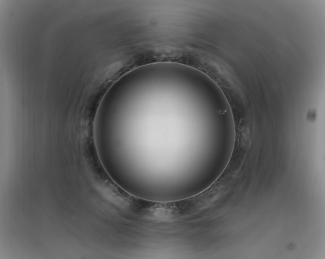 X0000094430756200711081226