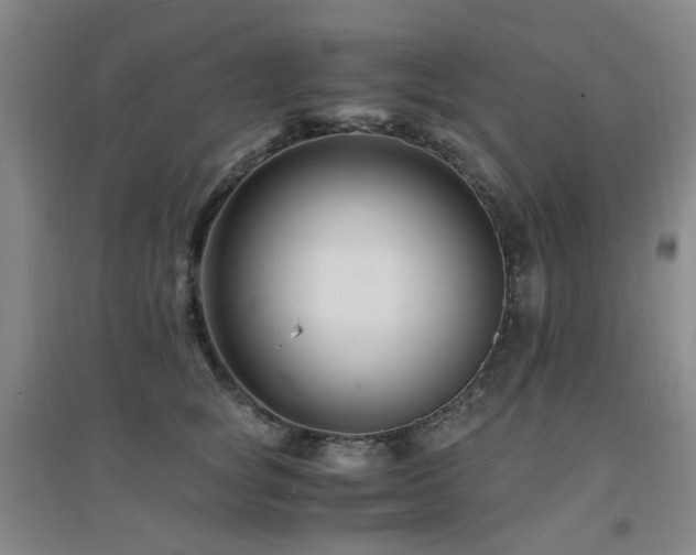X0000094430757200711081226