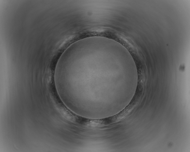 X0000094430758200711081226