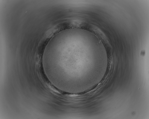 X0000094430759200711081226