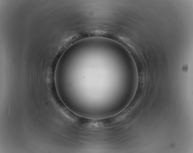X0000094430760200711081226