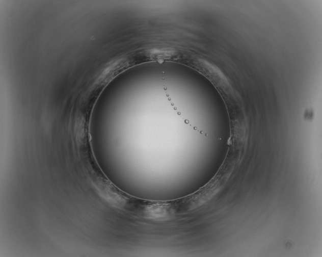 X0000094430761200711081226