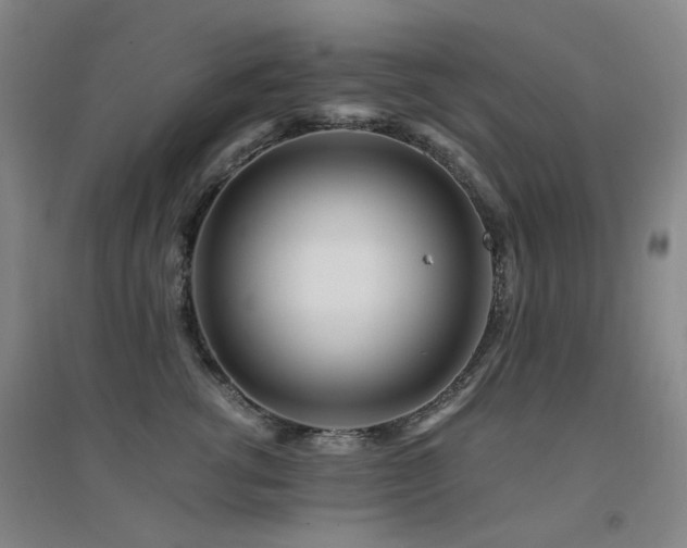 X0000094430762200711081226