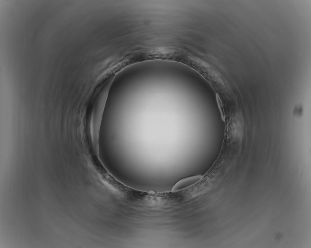 X0000094430764200711081226