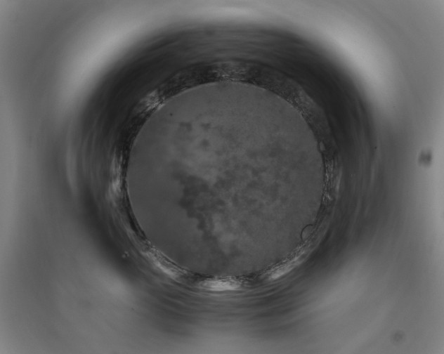 X0000094430765200711081226