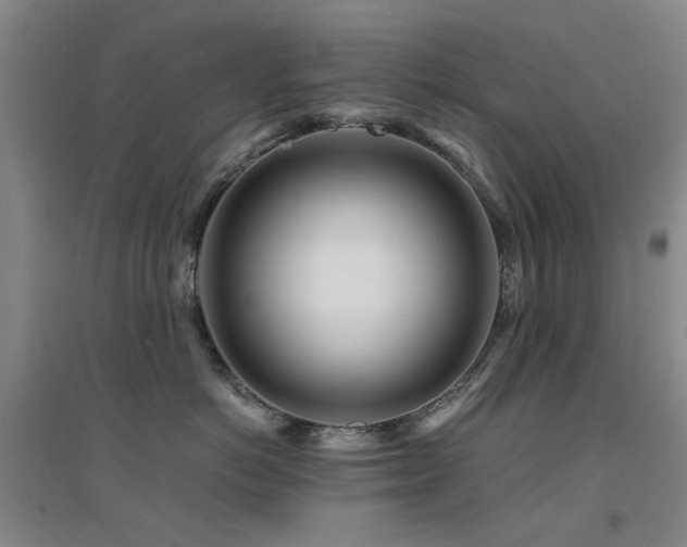 X0000094430766200711081226