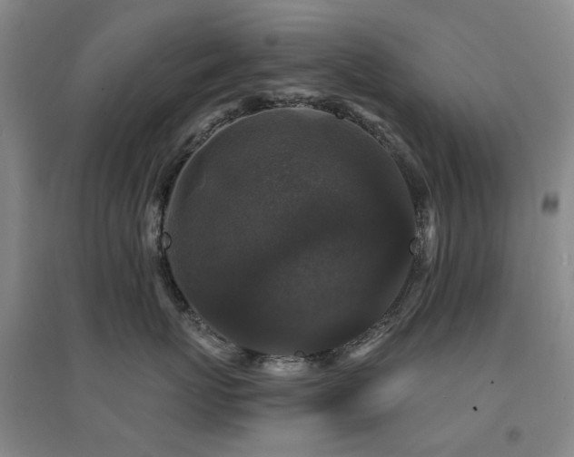 X0000094430767200711081226