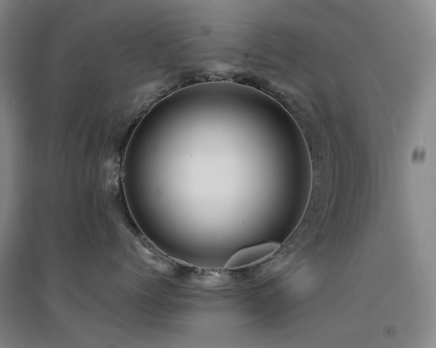 X0000094430768200711081226