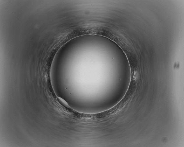 X0000094430771200711081225