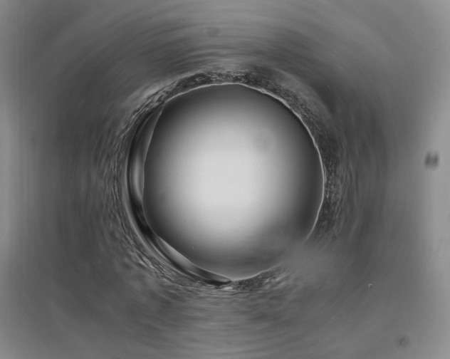 X0000094430773200711081225