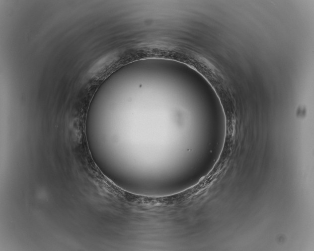 X0000094430774200711081225