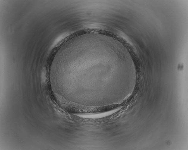 X0000094430775200711081225