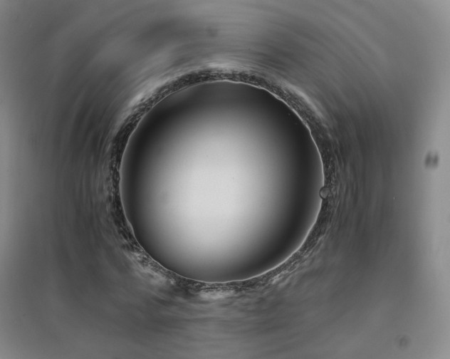 X0000094430776200711081225