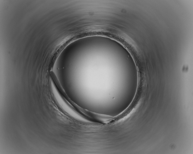X0000094430777200711081225
