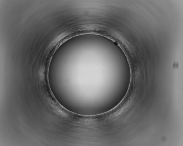 X0000094430778200711081225
