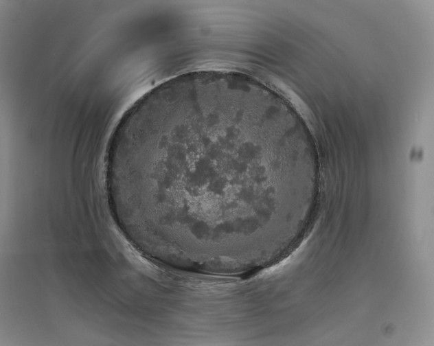 X0000094430779200711081225