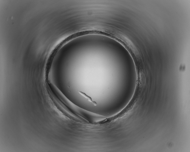 X0000094430780200711081225