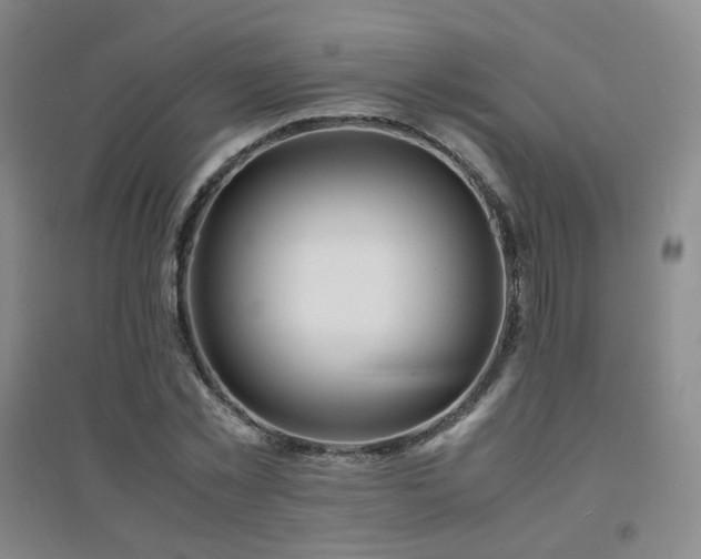 X0000094430781200711081225