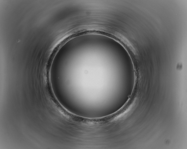 X0000094430782200711081225