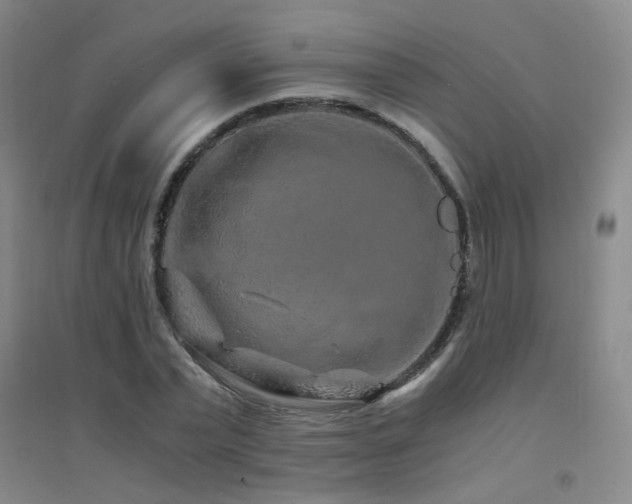 X0000094430783200711081225