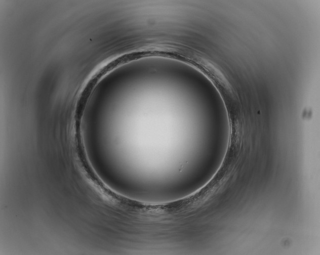 X0000094430784200711081225