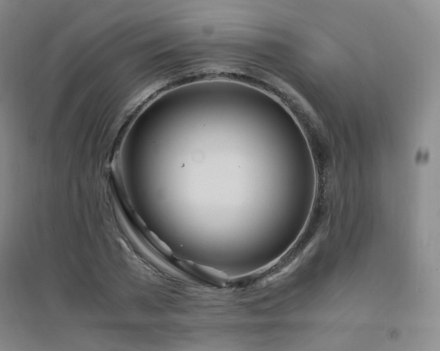 X0000094430785200711081224