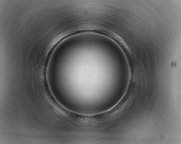X0000094430786200711081224