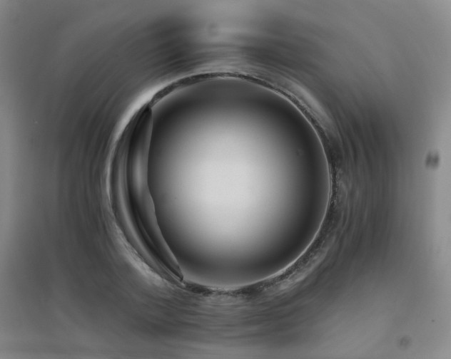 X0000094430788200711081224