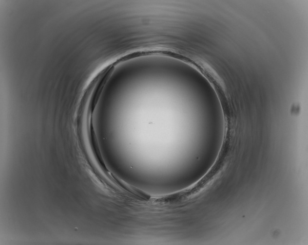 X0000094430789200711081224