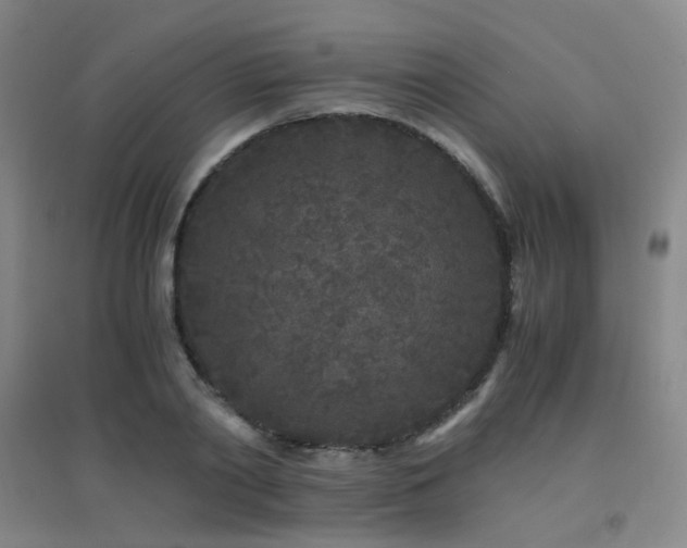 X0000094430790200711081224