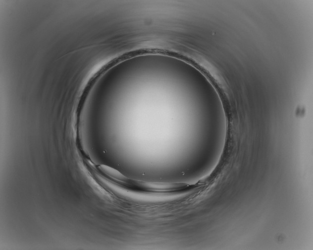 X0000094430791200711081224