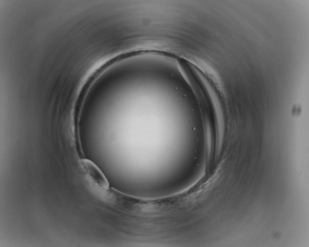 X0000094430792200711081224