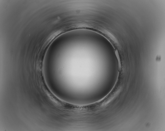 X0000094430793200711081224
