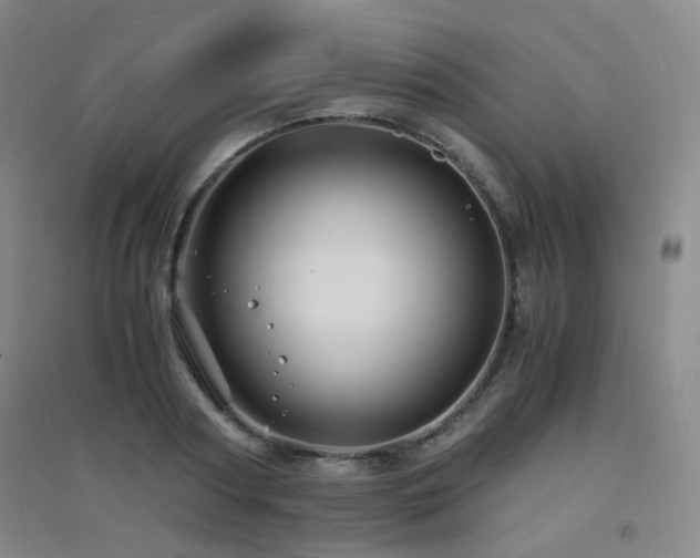 X0000094430794200711081224