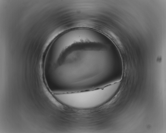 X0000094430796200711081224