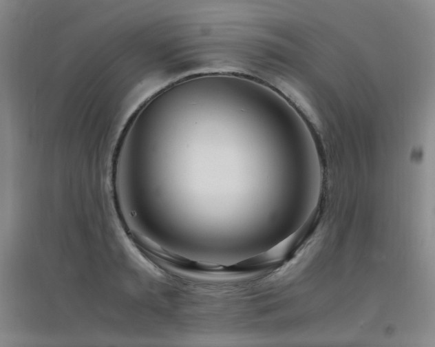 X0000094430797200711081224