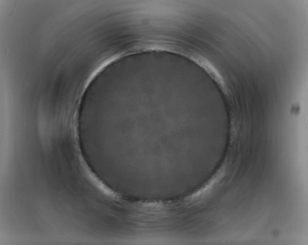 X0000094430798200711081224